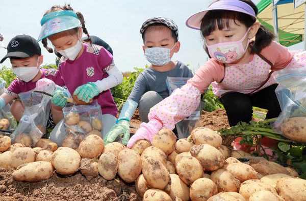 꽃가꾸는대통령마을