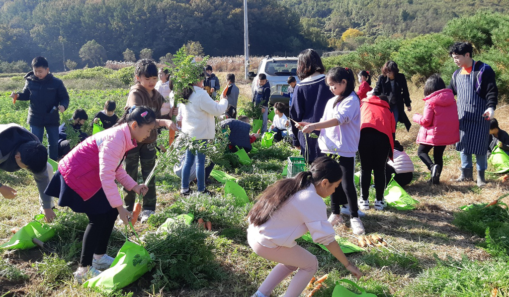 농산물 수확 체험