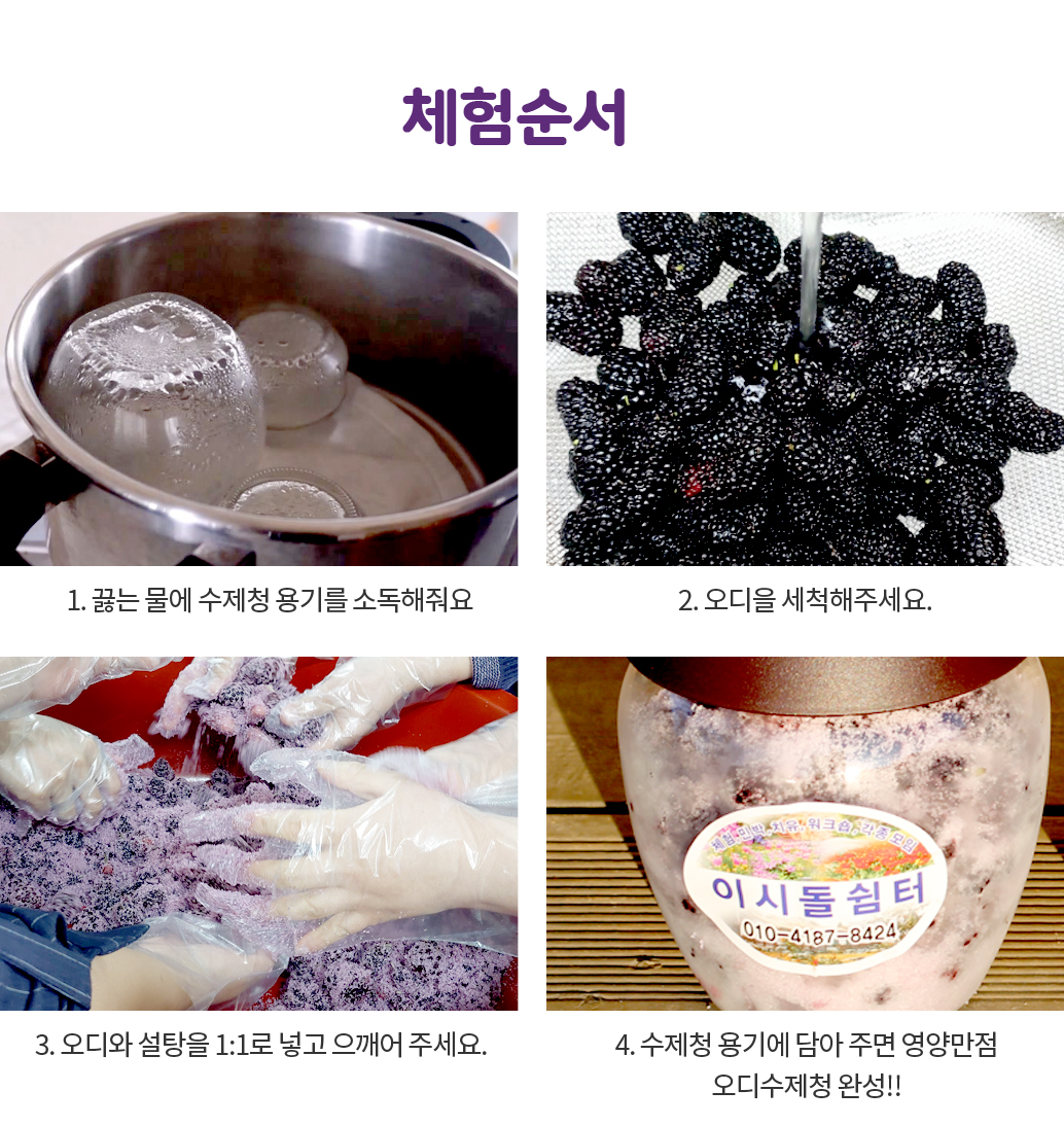 달콤하고 상큼한 영양만점 오디청 만들기 체험